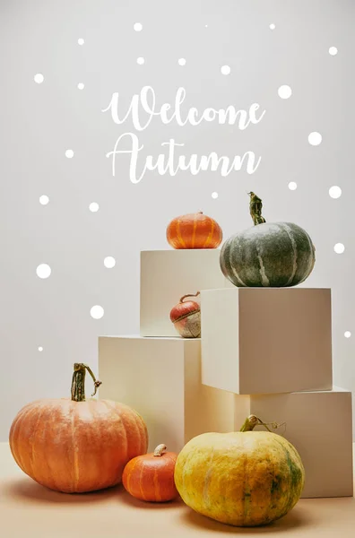 Decoração outonal com abóboras laranja, amarela e verde em cubos e mesa com letras WELCOME AUTUMN — Fotografia de Stock