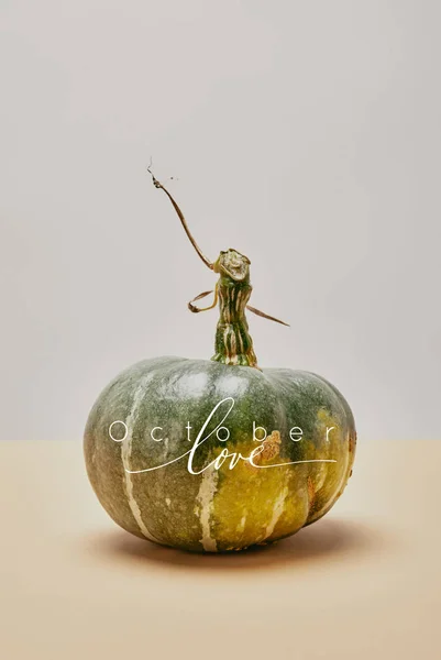 Одна осенняя зеленая тыква на бежевом столе с надписью OCTOBER LOVE — стоковое фото