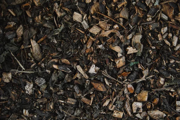 Vue du dessus petits morceaux de bois et feuilles séchées sur le sol — Photo de stock