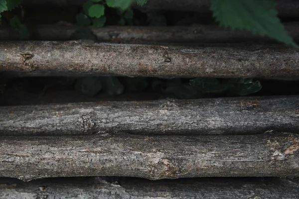 Mucchio di rami d'albero grigi nel parco — Foto stock