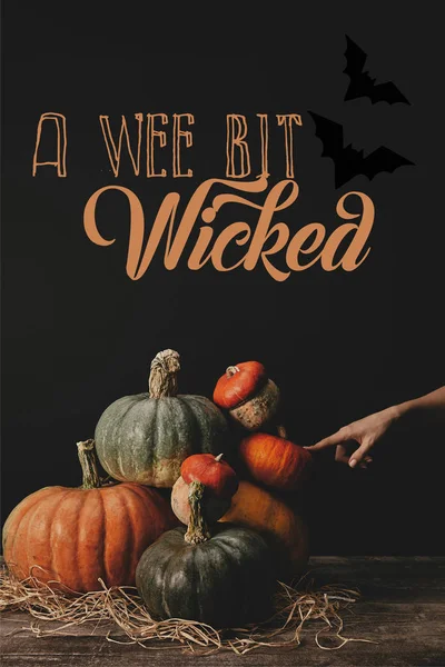 Обрезанный образ женщины, трогающей тыквы на столе с летучими мышами и надписью на Хэллоуин: — стоковое фото