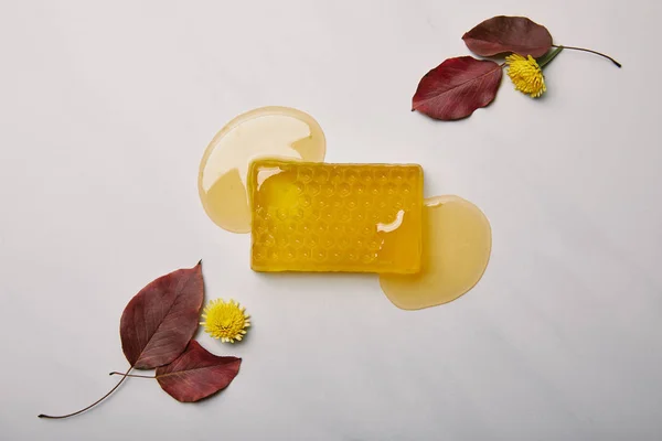 Vista superior de sabão artesanal em forma de favo de mel com dentes de leão e folhas na superfície de mármore branco — Fotografia de Stock