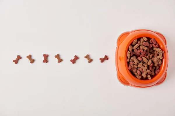 Top view of arranged dog food placed in row near plastic bowl on white surface — Stock Photo