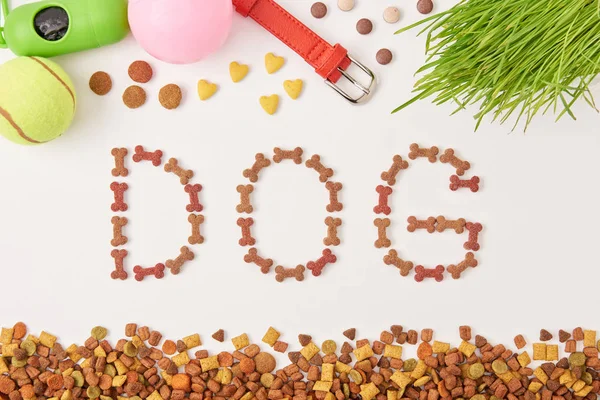 Flat lay com lettering cão feito por alimentos para animais de estimação perto de grama, bolas e colar de cão na superfície branca — Fotografia de Stock