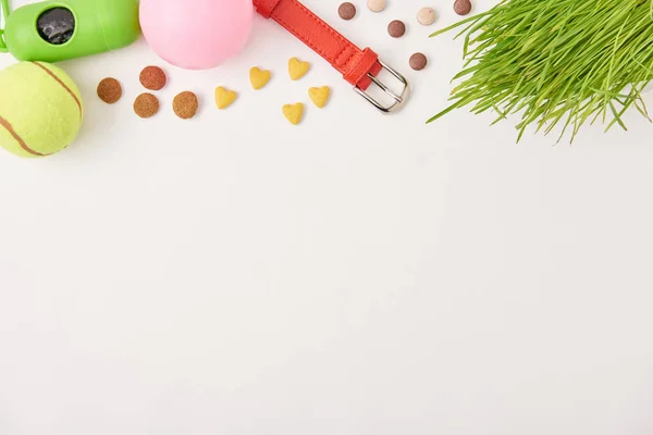 Flat lay with arranged balls, dog collar and pet food on white surface — Stock Photo