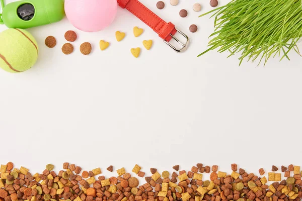 Vue surélevée des boules disposées, collier de chien et pile de nourriture pour animaux de compagnie sur la surface blanche — Photo de stock