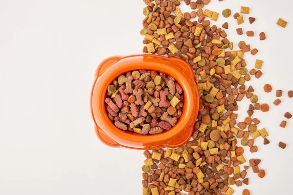 Top view of arranged plastic bowl and pile of dog food on white surface — Stock Photo