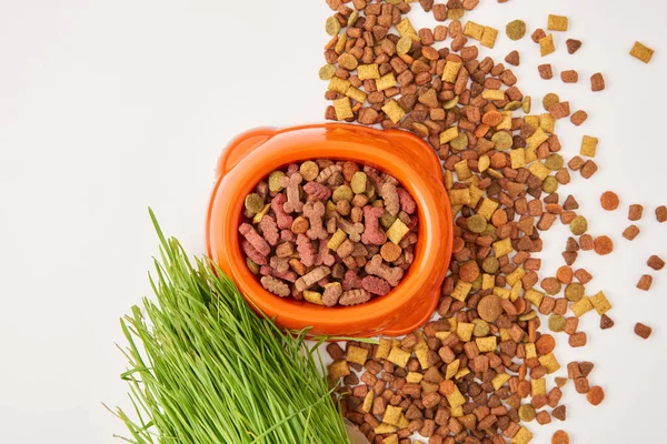 Top view of arranged grass, pile of pet food and plastic bowl on white surface — Stock Photo