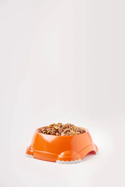 Vue rapprochée du bol en plastique avec nourriture pour animaux de compagnie sur blanc — Photo de stock