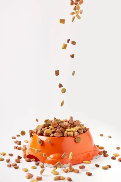 Grânulos de comida de cão caindo em tigela de plástico com alimentos para animais de estimação em branco — Fotografia de Stock