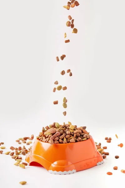 Close up view of dog food granules falling into plastic bowl with pet food on white — Stock Photo