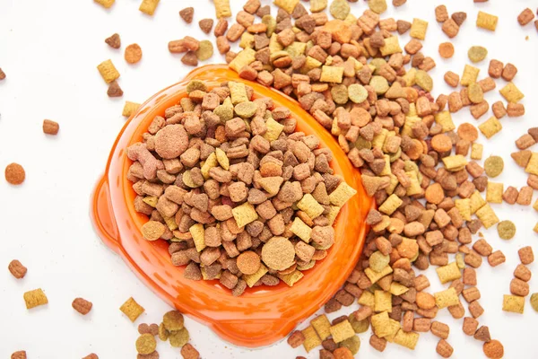 Top view of plastic bowl with pile of dog food on white surface — Stock Photo