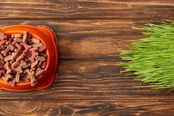 Flat lay with arranged plastic bowl with pile of dog food near grass on wooden background — Stock Photo