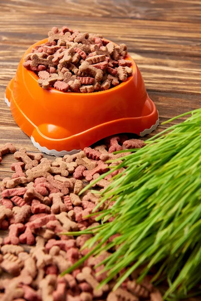 Plastic bowl with pile of pet food and grass on wooden table — Stock Photo
