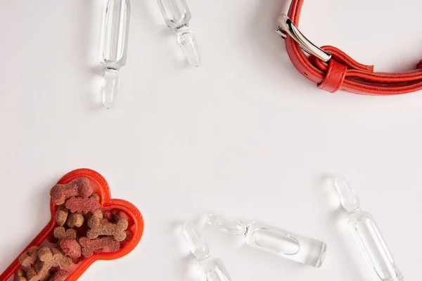 Tendido plano con collar de perro, ampollas con líquido médico y hueso de plástico con comida para perros en superficie blanca - foto de stock