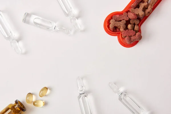 Blick von oben Plastikknochen mit Hundefutter, Tabletten und Ampullen mit medizinischer Flüssigkeit auf weißer Oberfläche — Stockfoto