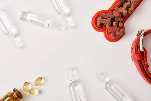 Flache Liege mit Hundehalsband, Plastikknochen mit Tiernahrung, Tabletten und Ampullen mit medizinischer Flüssigkeit auf weißer Oberfläche — Stockfoto
