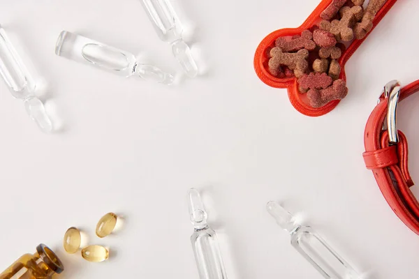 Flat lay with dog collar, plastic bone with pet food, pills and ampoules with medical liquid on white surface — Stock Photo