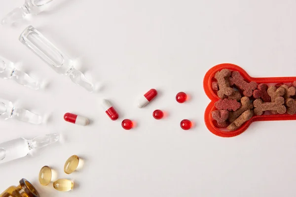 Вид зверху ампули з медичною рідиною, різними таблетками та пластиковою кісткою з кормом для собак на білій поверхні — стокове фото
