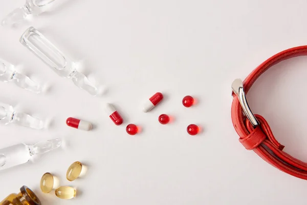 Vue surélevée de diverses pilules disposées, ampoules avec liquide médical et collier pour chien sur la surface blanche — Photo de stock