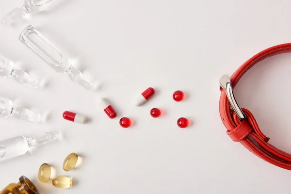 Elevated view of arranged various pills, ampoules with medical liquid and dog collar on white surface — Stock Photo