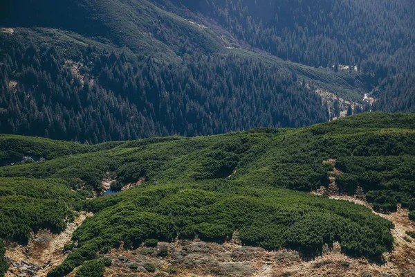 Vista aérea de verdes montañas paisaje, Cárpatos, Ucrania - foto de stock