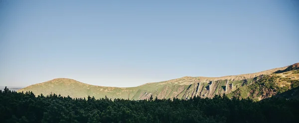 Plano panorámico de verdes montañas paisaje bajo el cielo azul, Cárpatos, Ucrania — Stock Photo