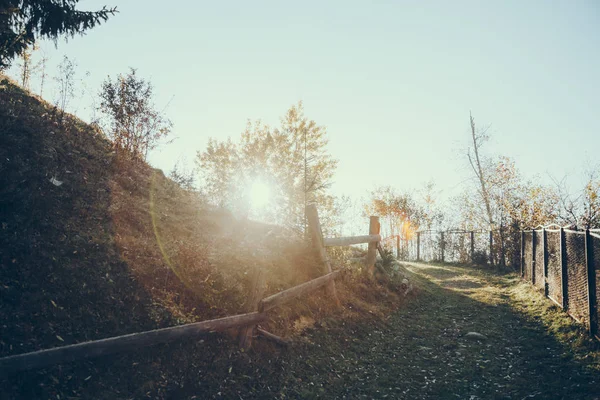 Camino en la colina bajo la luz del sol en los Cárpatos, Ucrania - foto de stock