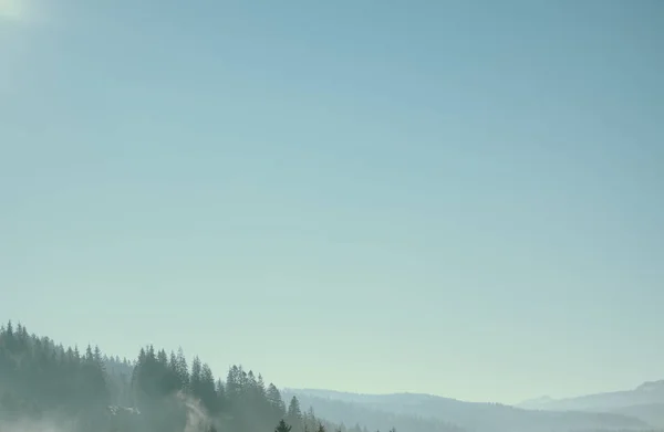 Туманні зелений гірничо-лісового під Синє небо, Карпати, Україна — стокове фото