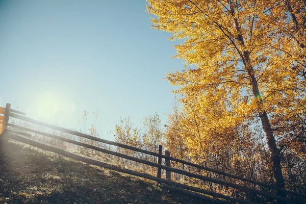 Vue panoramique de la clôture en bois sur la colline avec arbre jaune en face du soleil brillant, Carpates, Ukraine — Photo de stock