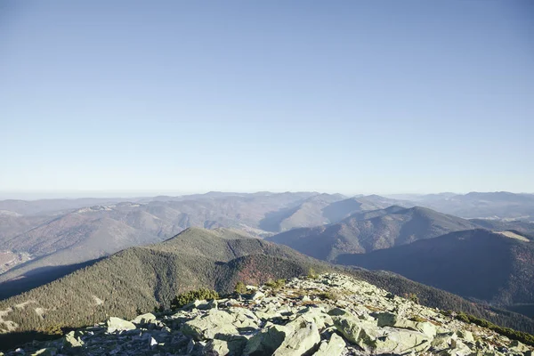 Bellissime cime verdi di montagna paesaggio, Carpazi, Ucraina — Foto stock