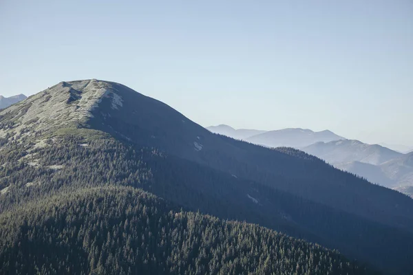 Beau paysage de montagnes verdoyantes, Carpates, Ukraine — Photo de stock