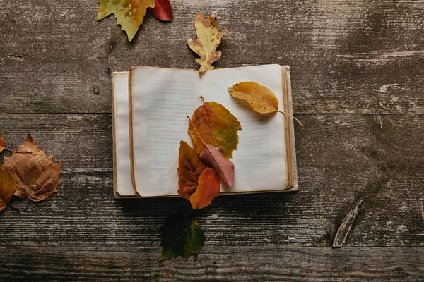 Plat posé avec des feuilles d'automne tombées et bloc-notes vierge sur la surface en bois — Photo de stock