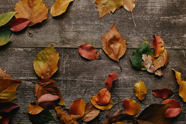 Flat lay with colorful fallen leaves on wooden surface — Stock Photo