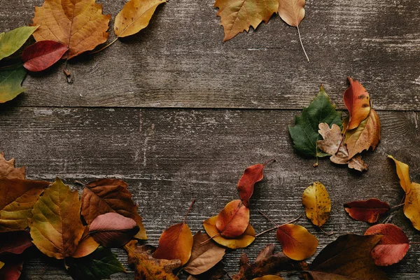 Flat lay with colorful fallen leaves on wooden surface — Stock Photo