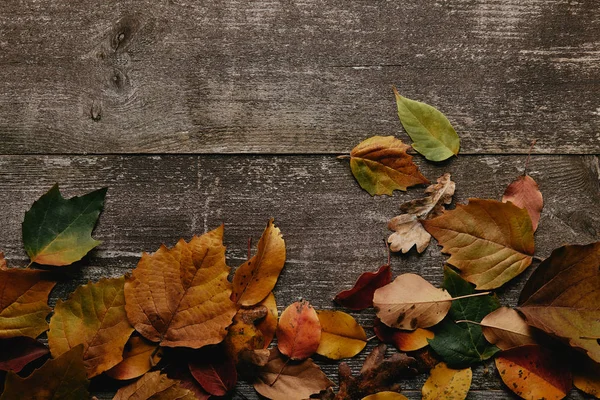 Plano con hojas caídas de colores en la superficie de madera - foto de stock