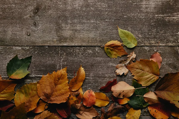 Flat lay with colorful fallen leaves on wooden surface — Stock Photo