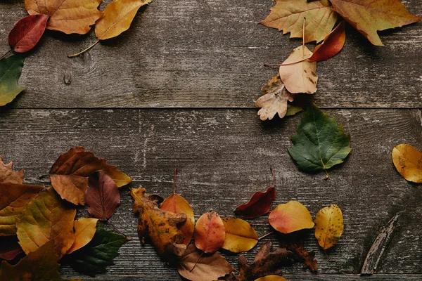 Pose plate avec des feuilles tombées colorées sur la surface en bois — Photo de stock