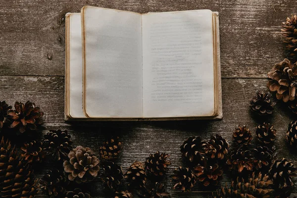 Flat lay com notebook em branco e cones de pinho dispostos em superfície de madeira — Fotografia de Stock