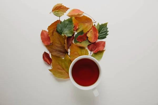 Plat étendu avec des feuilles tombées et une tasse de thé chaud sur fond blanc — Photo de stock