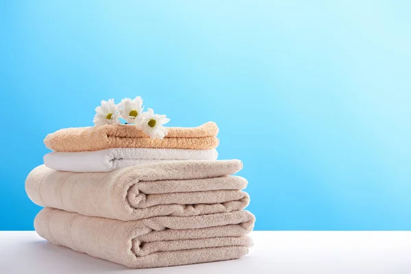 Close-up view of beautiful chamomiles on pile of clean soft towels on blue — Stock Photo