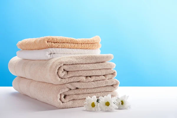 Pile of clean soft towels and chamomile flowers on blue — Stock Photo