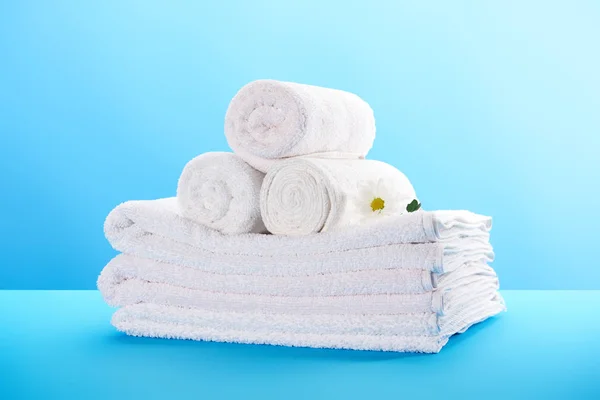 Vista close-up de toalhas limpas enroladas e empilhadas com bela flor de camomila branca em azul — Fotografia de Stock