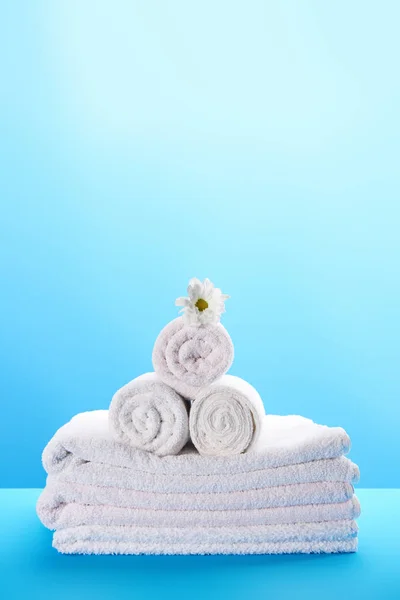 Vista de cerca de toallas blancas limpias apiladas y enrolladas con hermosa flor de manzanilla en azul - foto de stock
