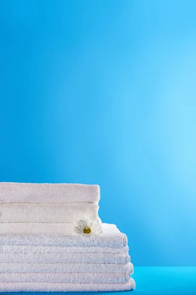 Close-up view of stacked white clean towels and chamomile flower on blue background — Stock Photo