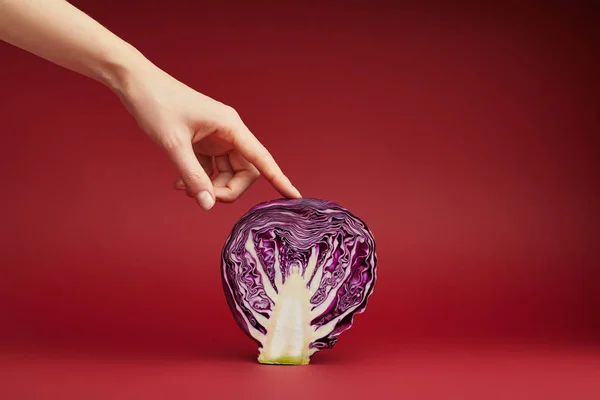 Tiro cortado de pessoa tocando repolho roxo fatiado no fundo vermelho — Fotografia de Stock