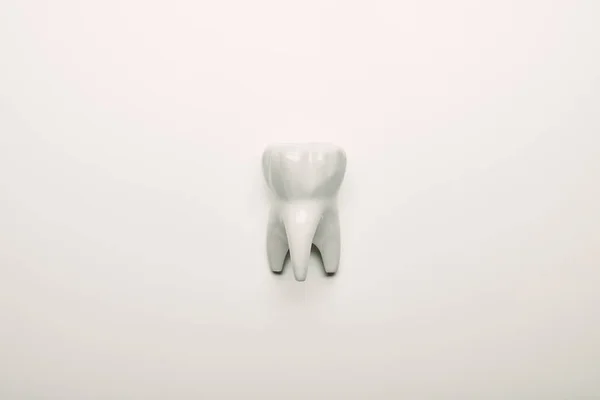 Вид сверху на модель зуба на белом столе, концепция стоматологической помощи — стоковое фото