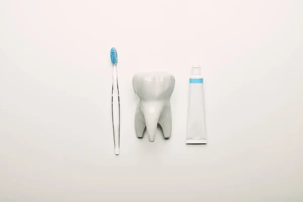 Pose plate avec modèle de dent, brosse à dents et arrangement de pâte sur fond blanc, concept de soins dentaires — Photo de stock