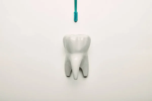 Vue du dessus du modèle de dent et de la brosse à dents sur fond blanc — Photo de stock