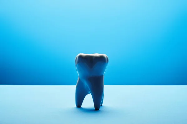 Vista de cerca del modelo de diente blanco sobre fondo azul — Stock Photo